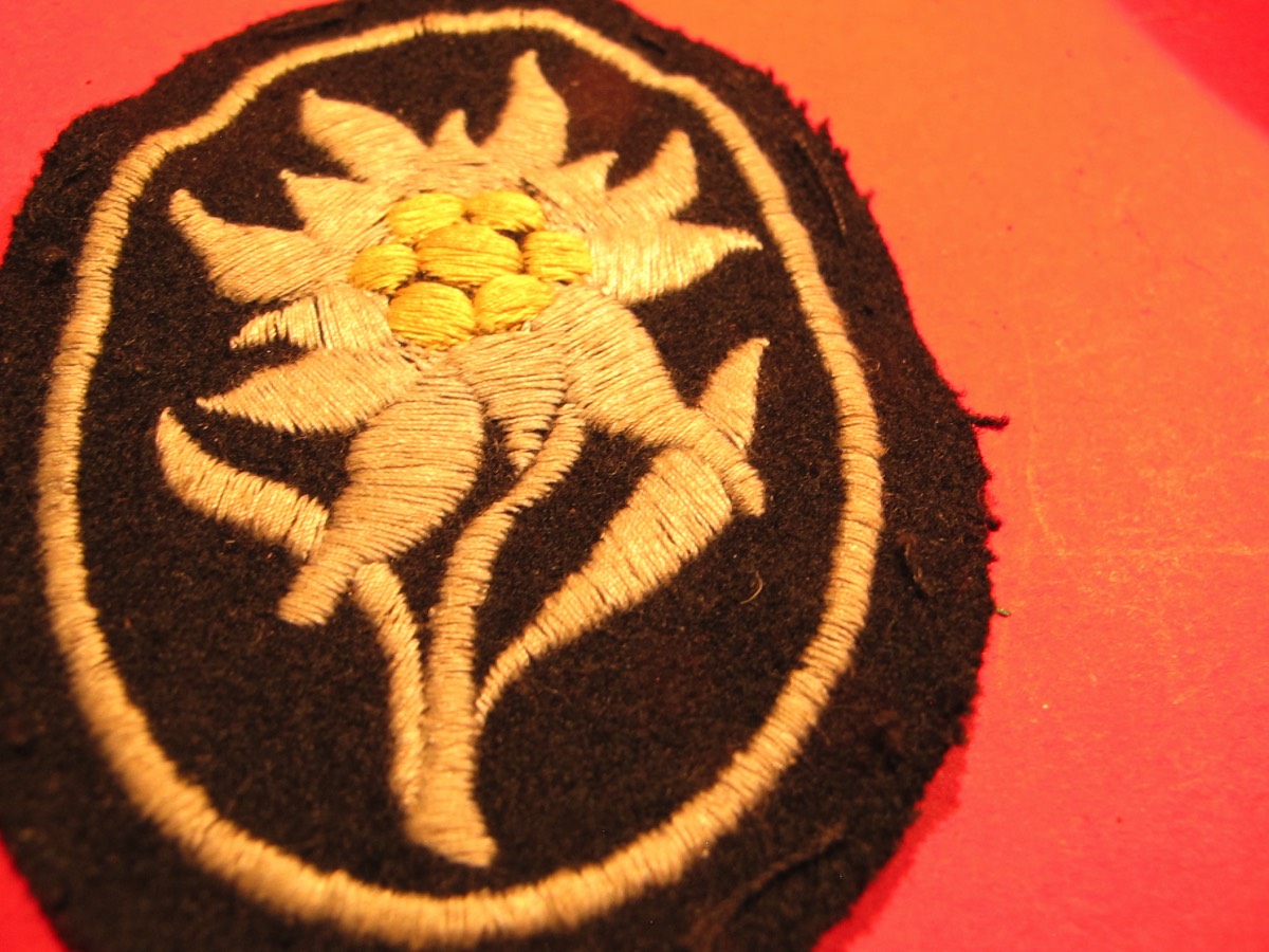 Stacks Image 1853